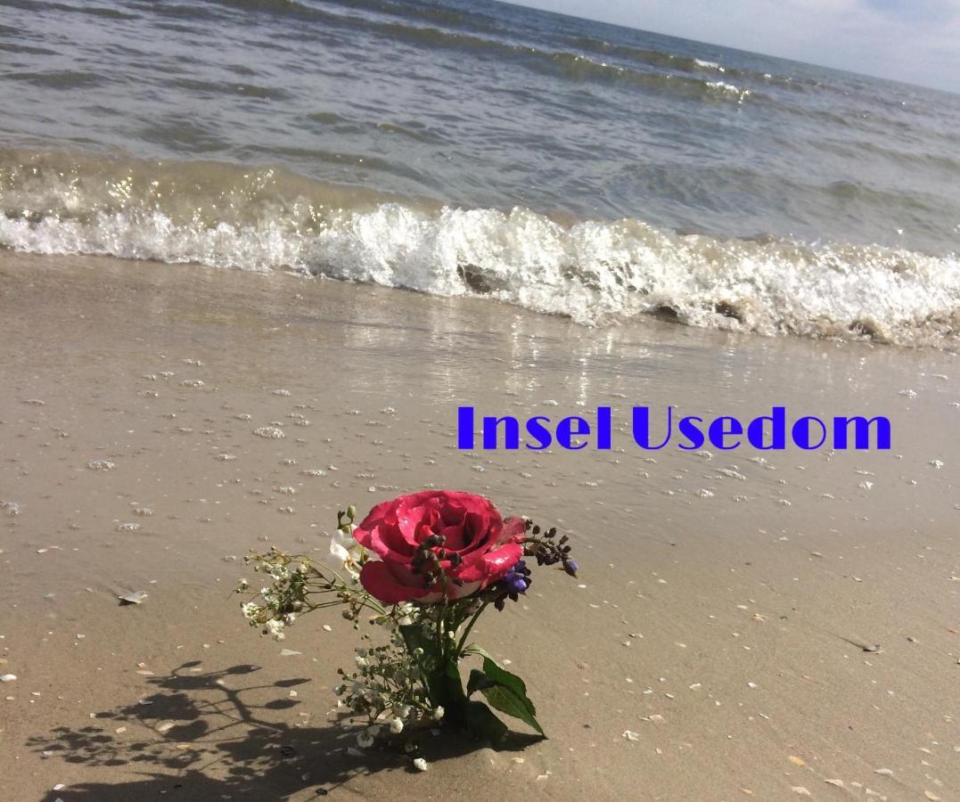 Ferienwohnung Mit Terrasse - Insel Usedom Trassenheide Exteriör bild