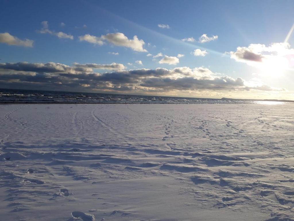Ferienwohnung Mit Terrasse - Insel Usedom Trassenheide Exteriör bild