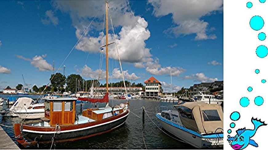 Ferienwohnung Mit Terrasse - Insel Usedom Trassenheide Exteriör bild