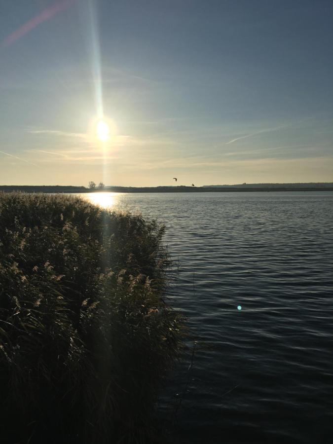 Ferienwohnung Mit Terrasse - Insel Usedom Trassenheide Exteriör bild