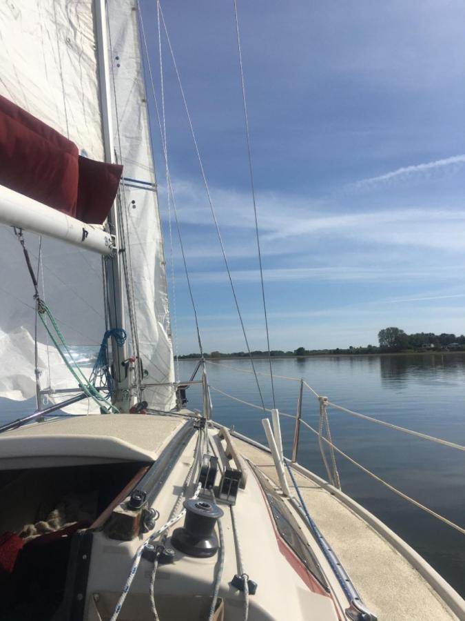 Ferienwohnung Mit Terrasse - Insel Usedom Trassenheide Exteriör bild