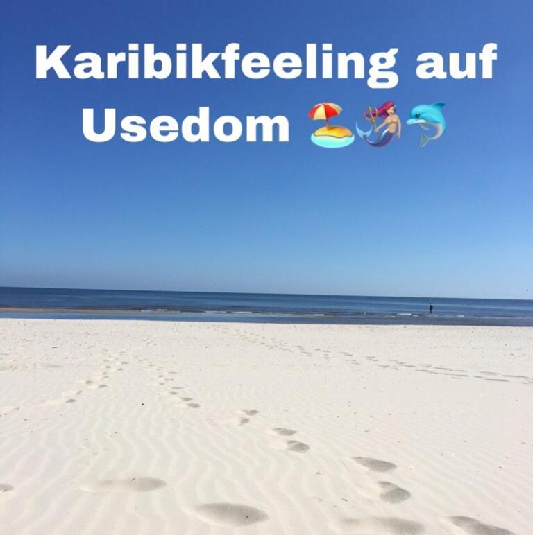 Ferienwohnung Mit Terrasse - Insel Usedom Trassenheide Exteriör bild