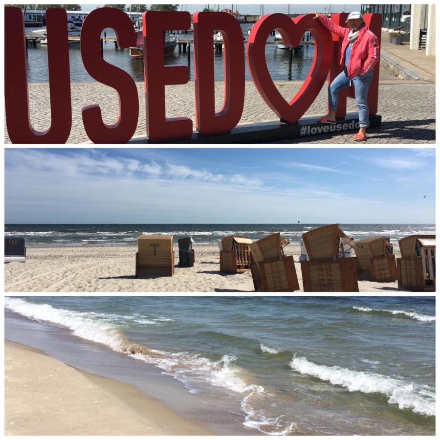 Ferienwohnung Mit Terrasse - Insel Usedom Trassenheide Exteriör bild