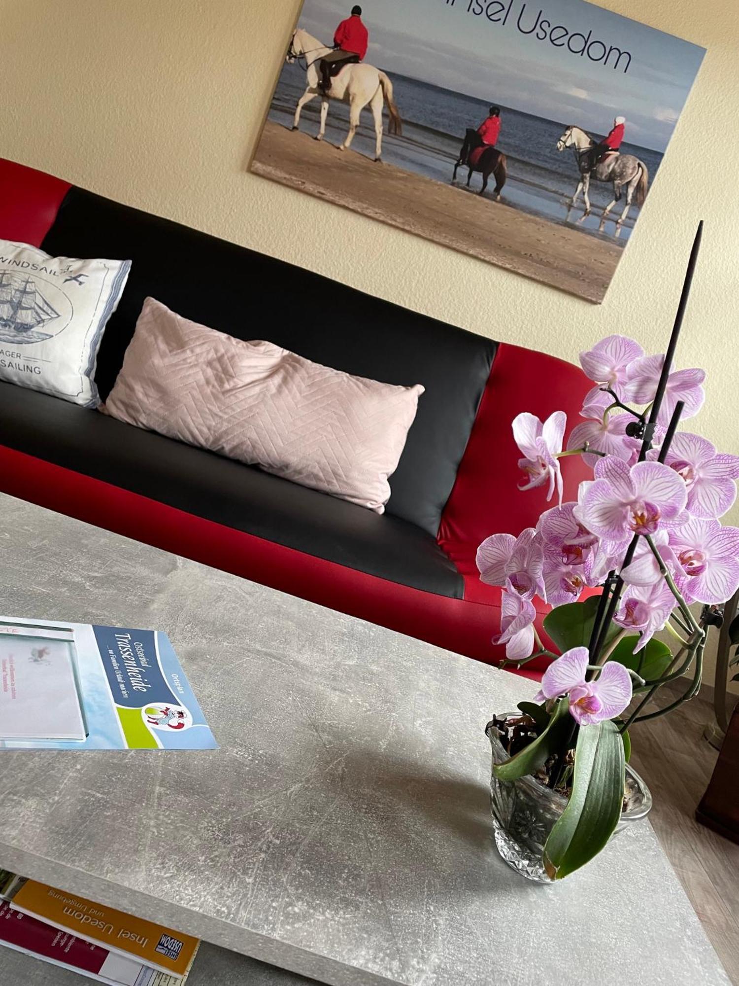 Ferienwohnung Mit Terrasse - Insel Usedom Trassenheide Exteriör bild